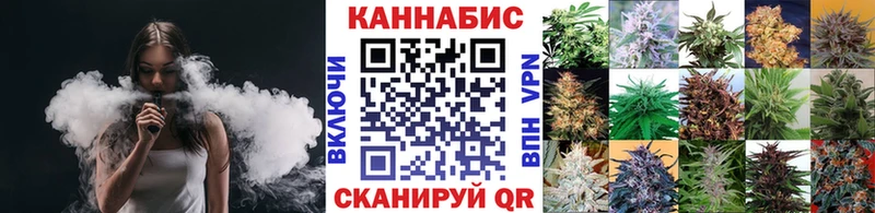 Канабис конопля Афипский